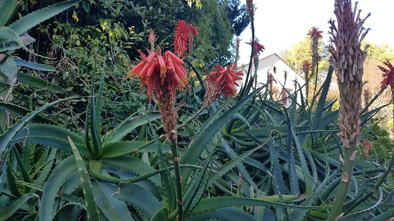 Appartamento Orangeraie Du Cap D'Antibes  Antibes